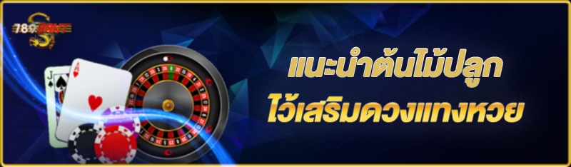 แนะนำต้นไม้ปลูกไว้เสริมดวงแทงหวย