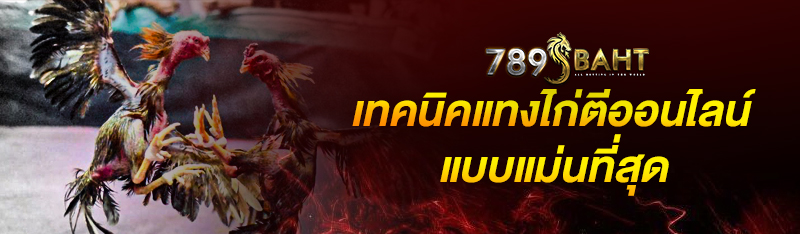 เทคนิคแทงไก่ตีออนไลน์แบบแม่นที่สุด